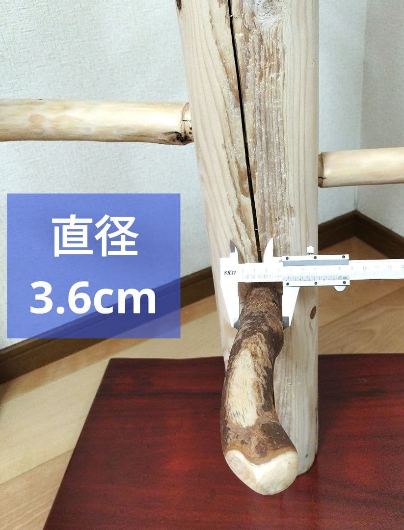 【大型鳥用】どっしり♬Araバードスタンド