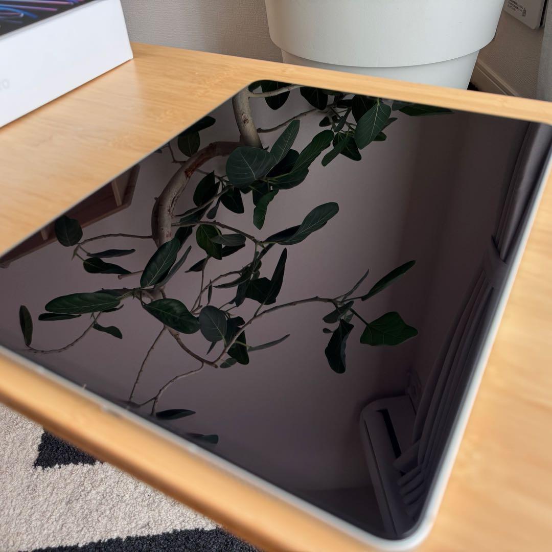 iPad Pro 12.9インチ 第6世代 Wi-Fi+Cellular 1TB