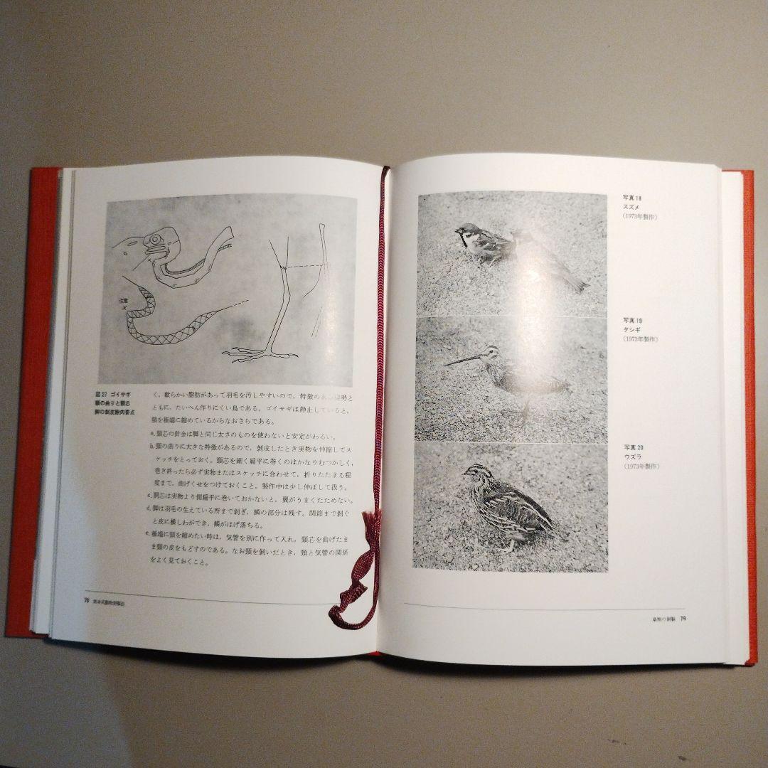 坂本式動物剥製法 橋本太郎