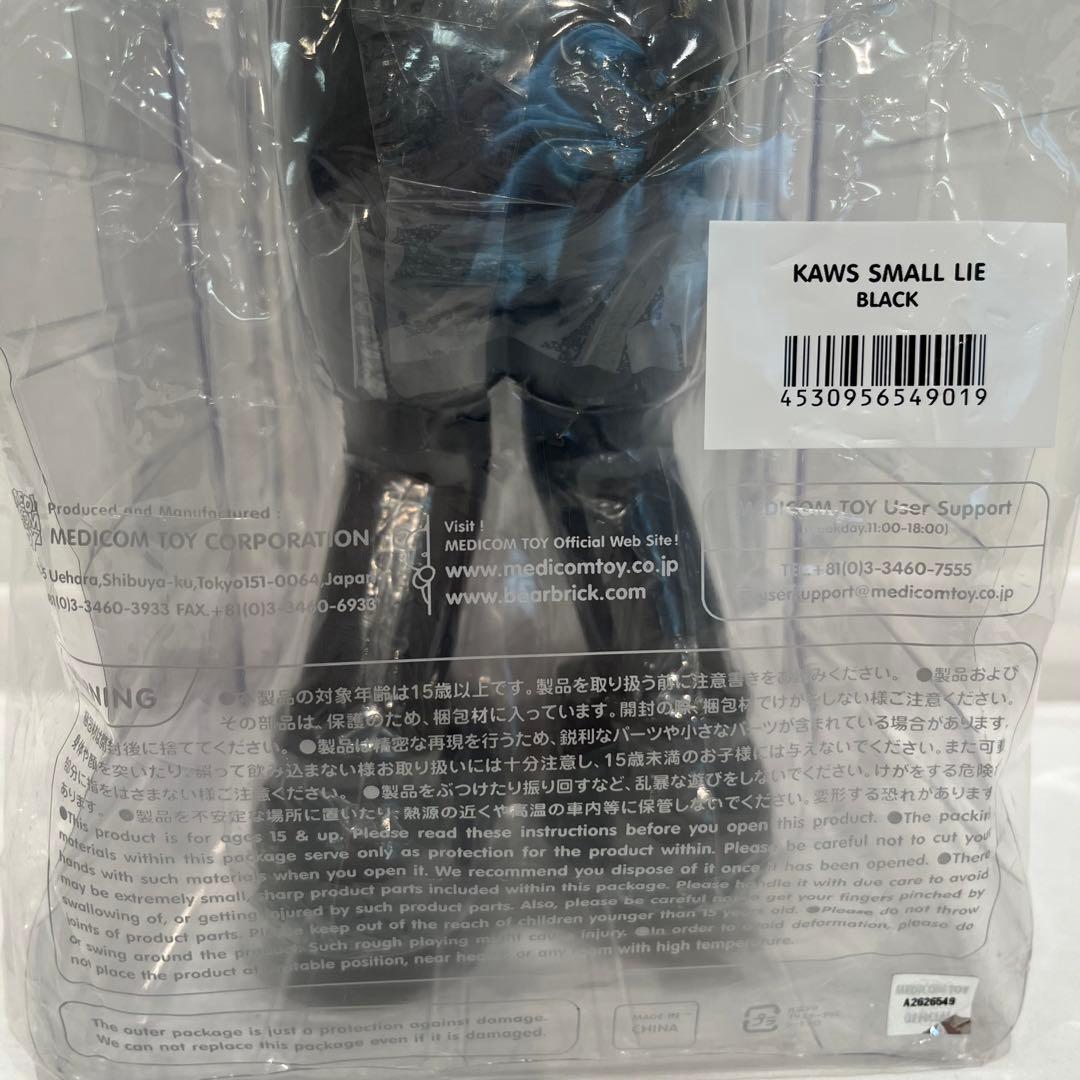 【M3】KAWS Small Lie Companion Black