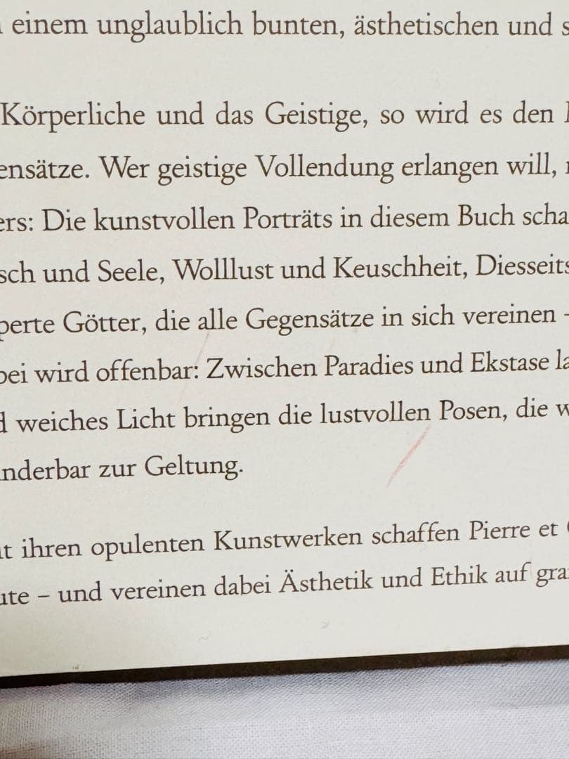 Pierre et Gilles - Göttliche Körper アート本