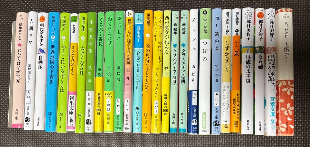 小説セット　中学受験　読書感想文