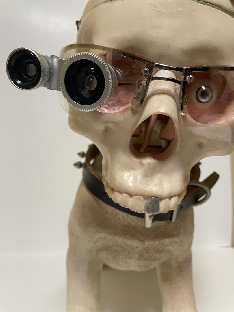 takayasu.k　世田谷ベース アンダーリペアドッグ 初期バージョン