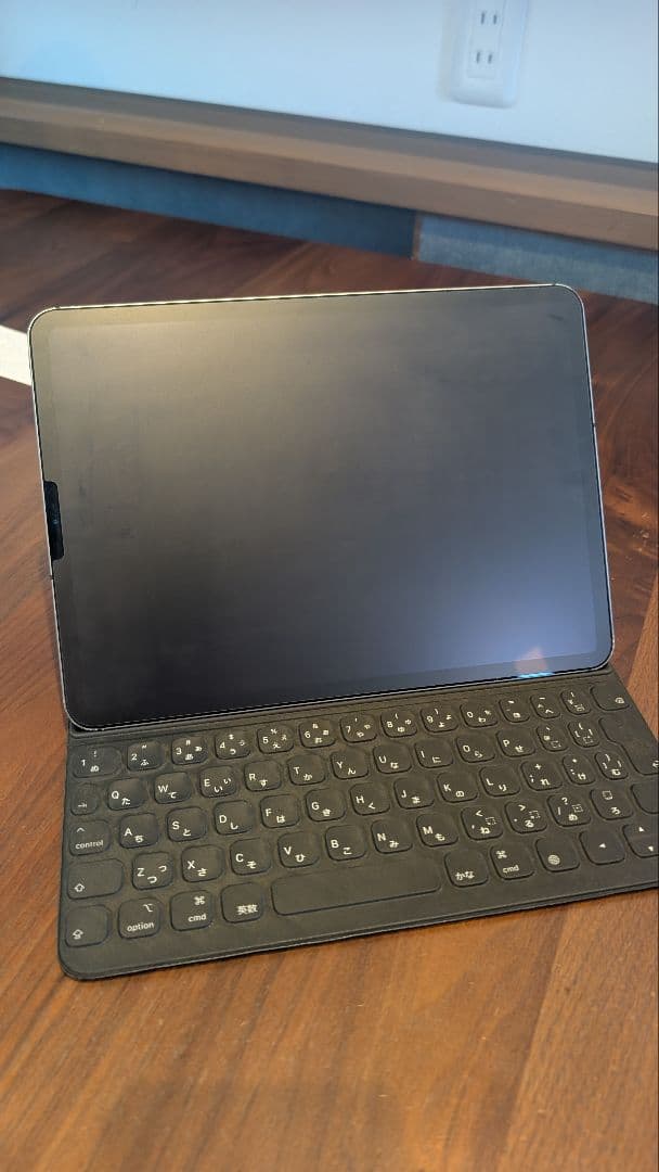 iPad Pro 11インチ 第2世代512GB SIMフリー Cellular