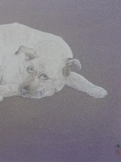 楚里清、【凛】、希少な額装用画集より、新品額装付、状態良好