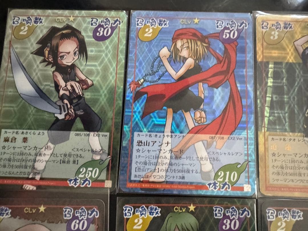 シャーマンキングカードEX２　15枚セット