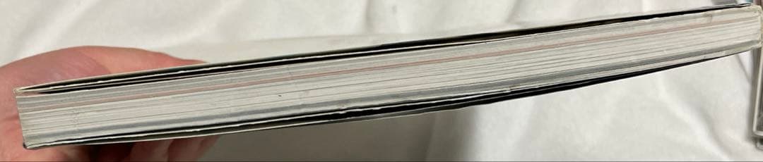 【使用感あり】素晴らしき日々 不連続存在 公式ビジュアルアーカイヴ すかぢ