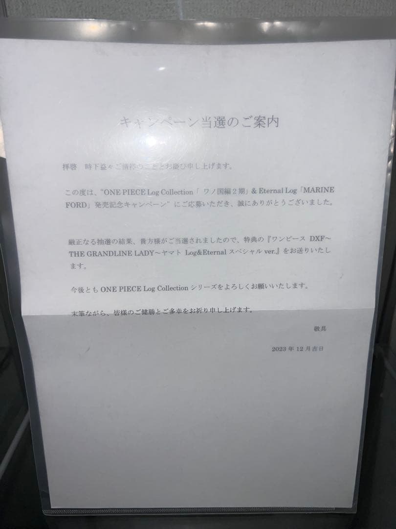 100名限定当選品　ワンピース　ログコレクション　グランドラインレディ　ヤマト