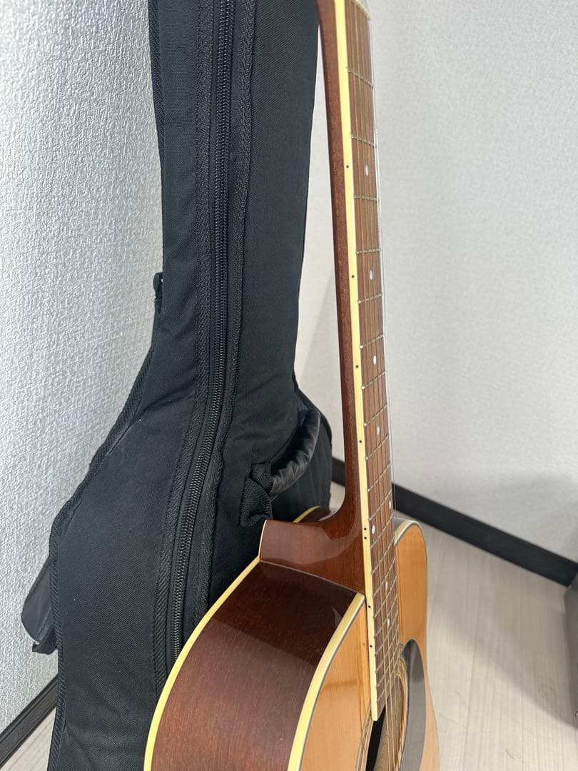 Jay Turser MODEL No. 500 プロ仕様 ※31※