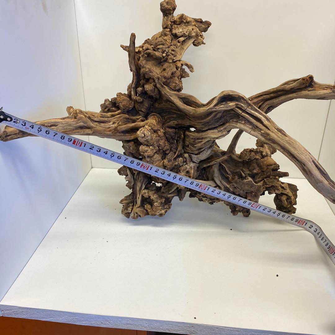 MSRW-6734 天然流木1点物　スリムウッド　アクアリウム