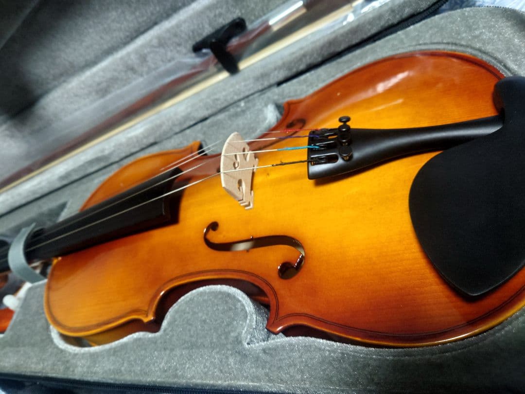 バイオリン 本体 ケース付き 教本付き