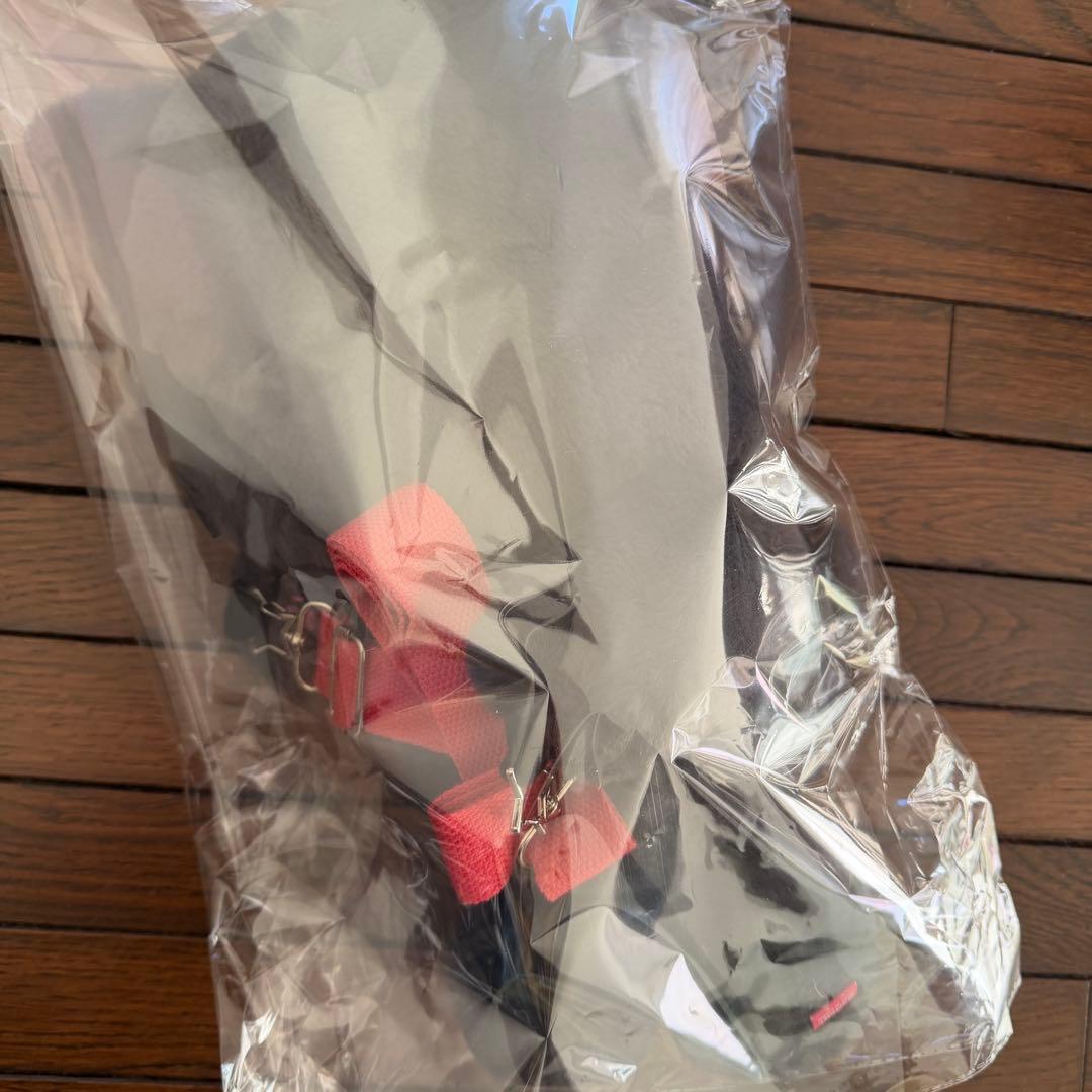 NCT WISH ソウルコン リク ぬいぐるみ キャラクターバッグ　トレカ付き