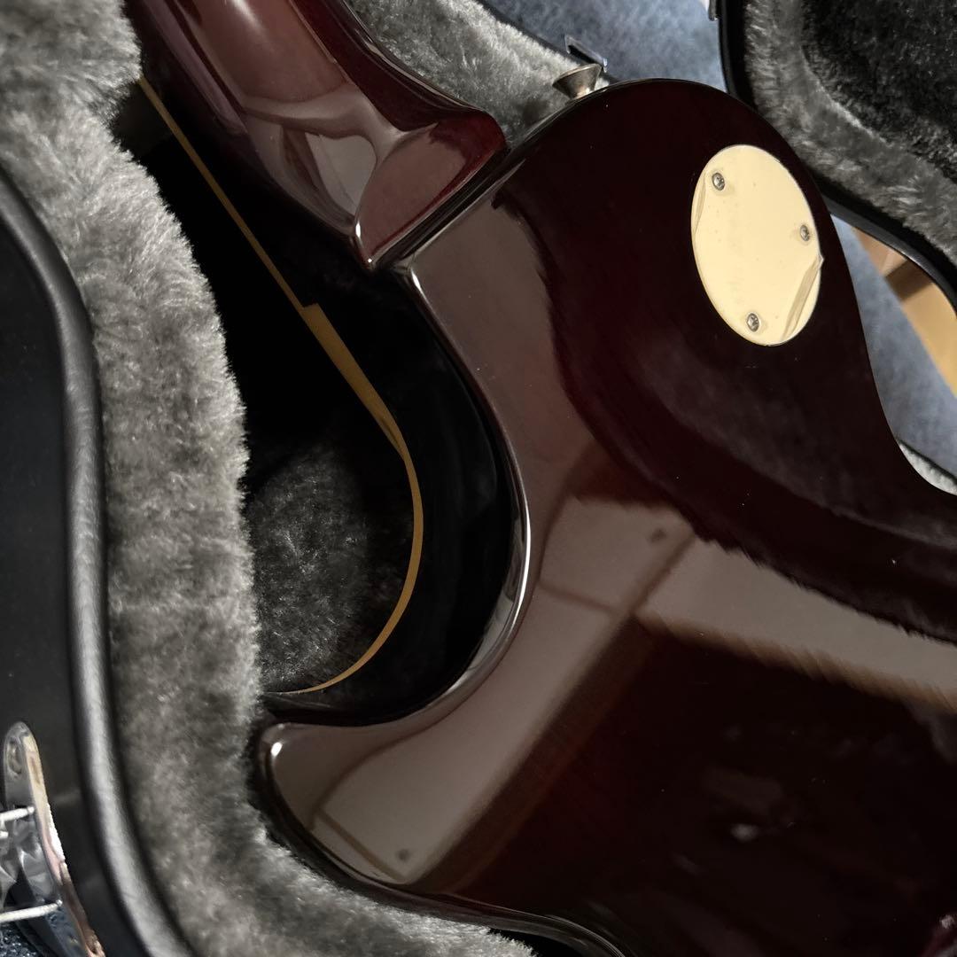 Burny LPタイプ フェルナンデス ピンク ハードケース付 レアカラー