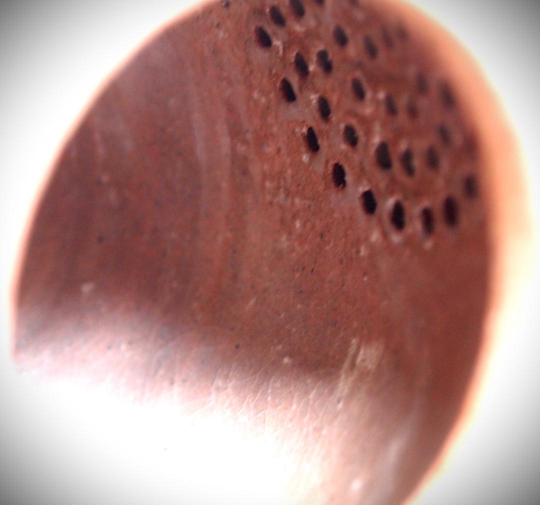 新作★時松泰礼【師：松野龍司】★白萩ティーポット（急須）★共箱