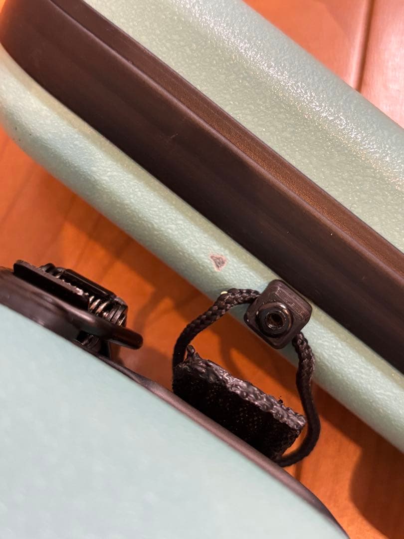 BOGARO & CLEMENTE バイオリンケース ミントグリーン