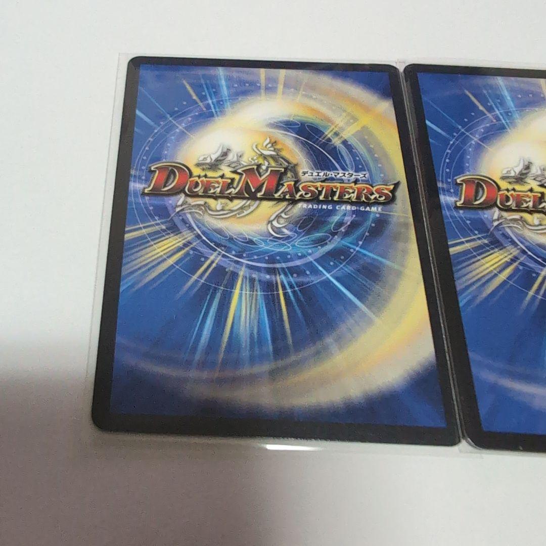 双龍王 モルトVERSUS 2枚セット