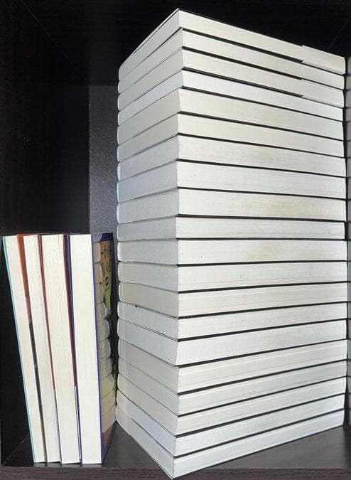 ★ハリー・ポッター 新書サイズ　本編20+4の全24冊セット！静山社ペガサス文庫