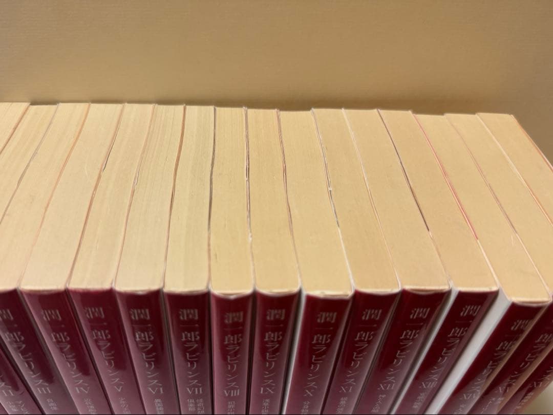 潤一郎ラビリンス 全16巻