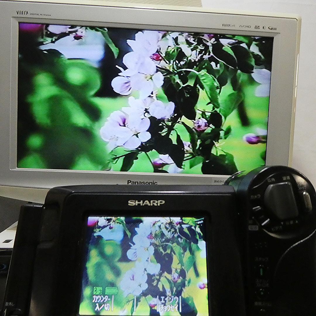 動作良好 Video.Hi8シャープVL-HL15 8ミリビデオカメラDVD化に