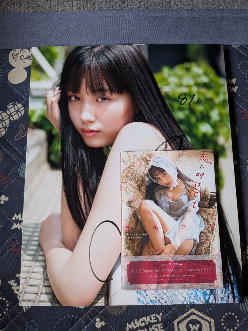 鶴嶋乃愛直筆サインパネル100名限定品　フォトブック2点セット