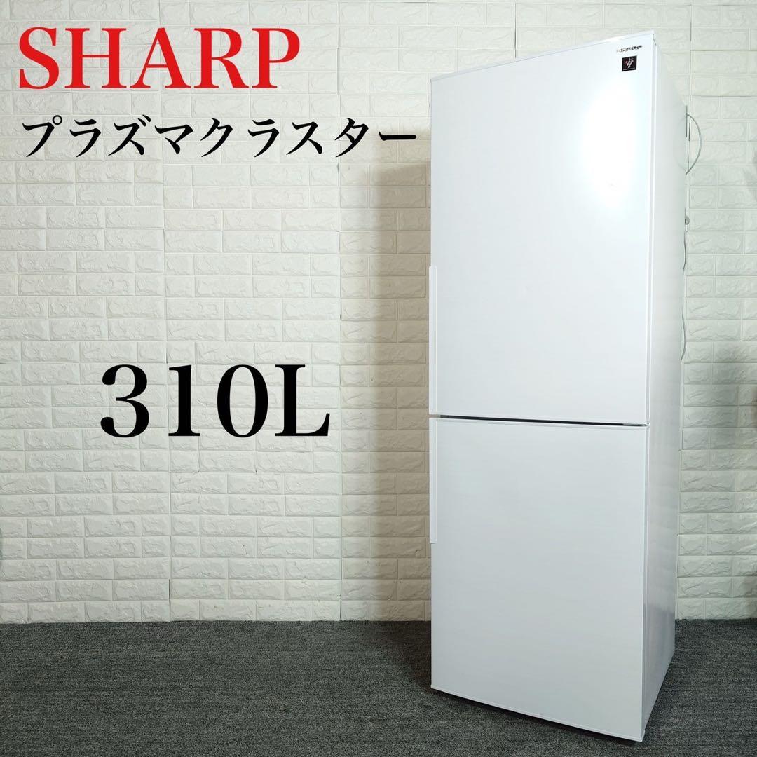 SHARP 冷蔵庫 SJ-AK31G-W 310L 2021年製 家電 L040