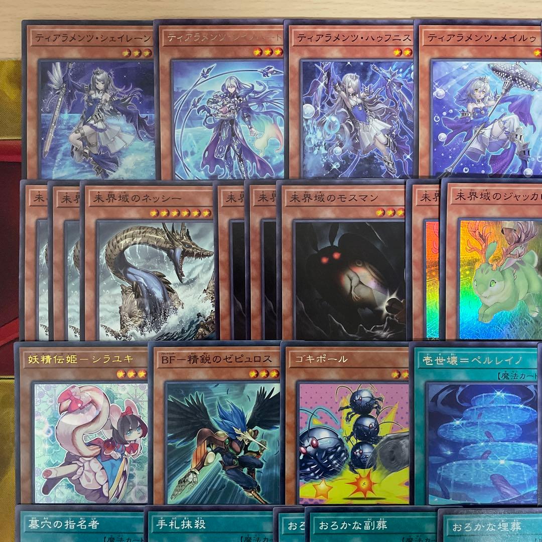 優勝構築 未界域ティアラメンツデッキ シェイレーン ケルドウ 未界域のネッシー