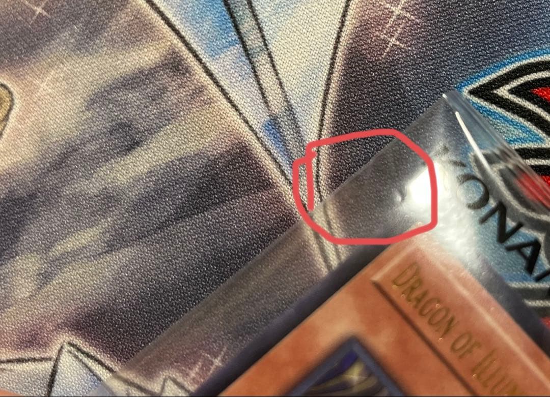 2025年　日本選手権　優勝　プロモ