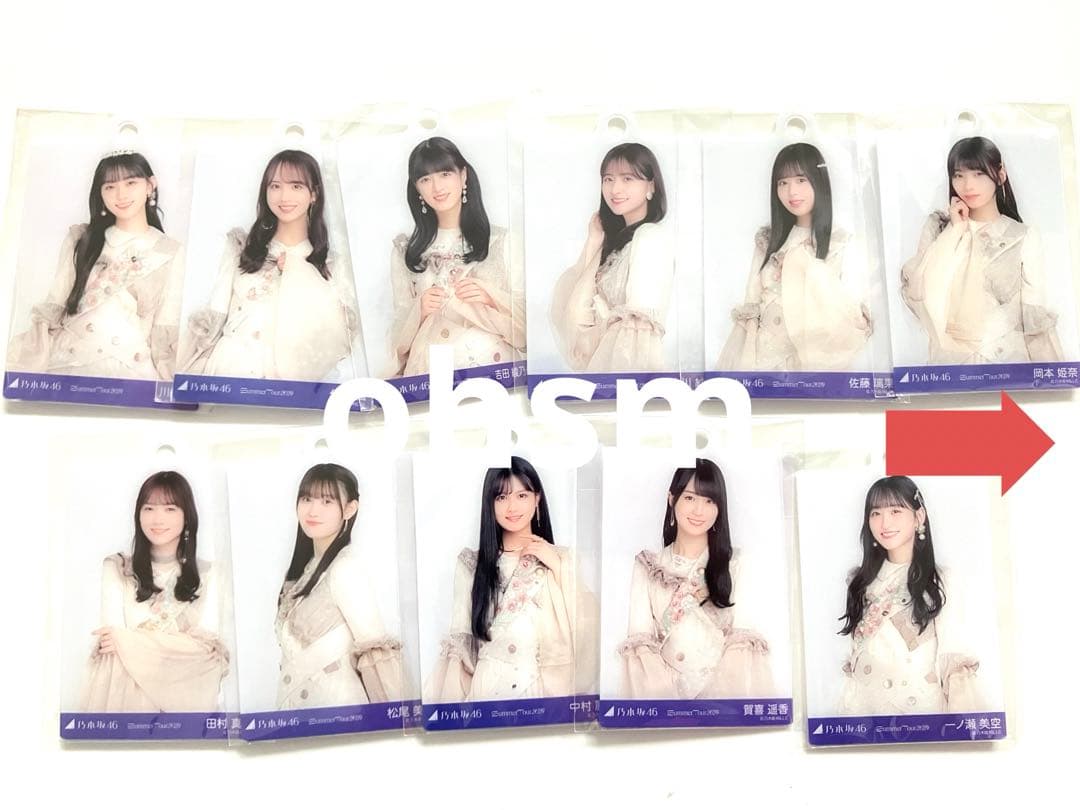 乃木坂46 真夏の全国ツアー　ミニ生写真キーホルダー　2024 ランダムグッズ