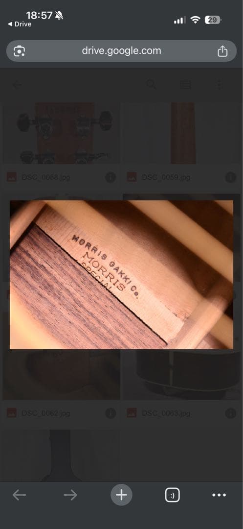 Morris W-50 アコースティックギター SPECIALジャパンヴィン