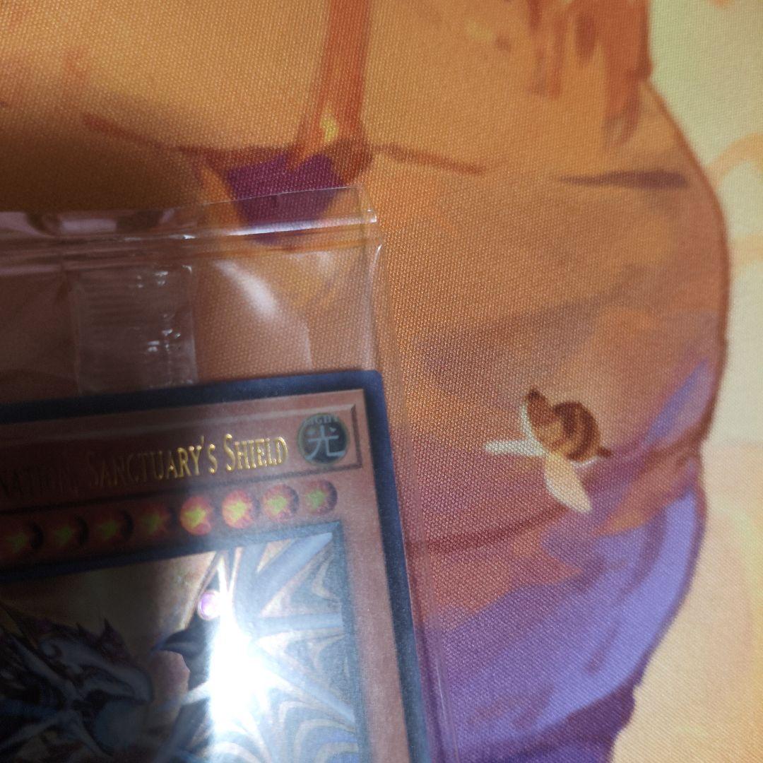 遊戯王 日本選手権 プロモ