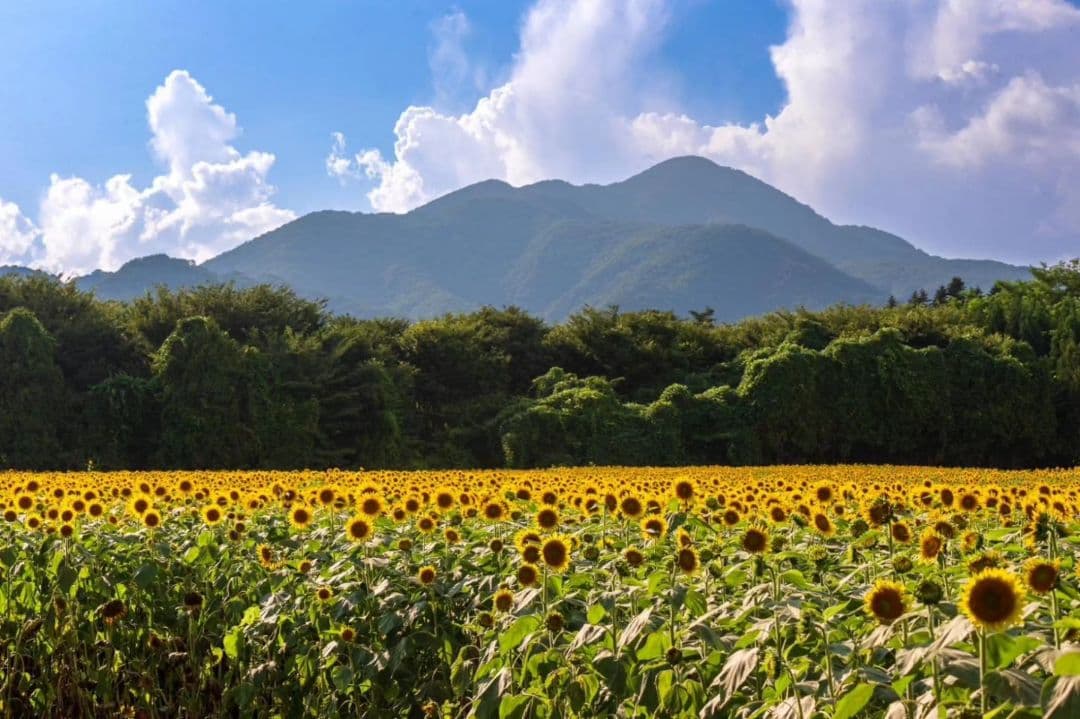 く*だ様 Canon 1DX チャージャー付き　値下げ交渉少しOK　CF2カード