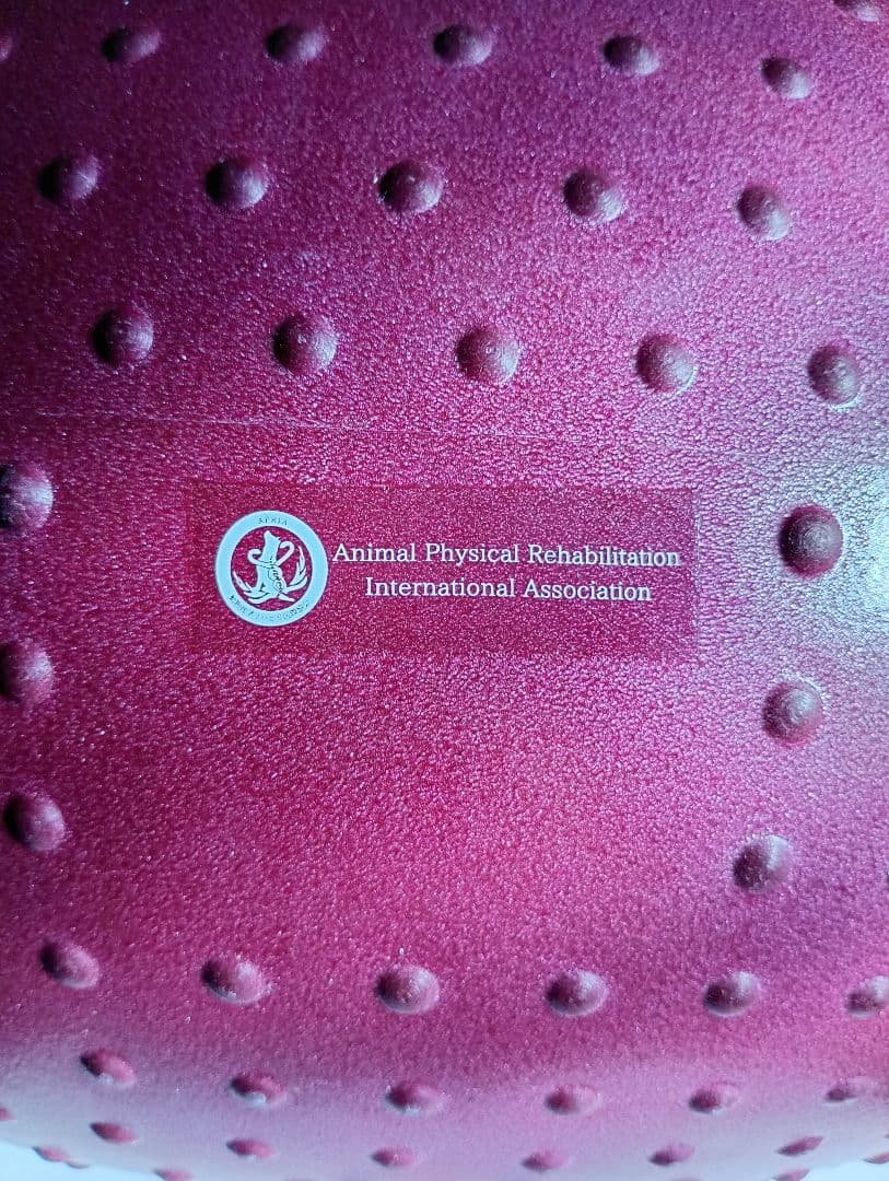 アプリア ドーナツボール ワンちゃん用バランスボール 2個セット 最終値下！