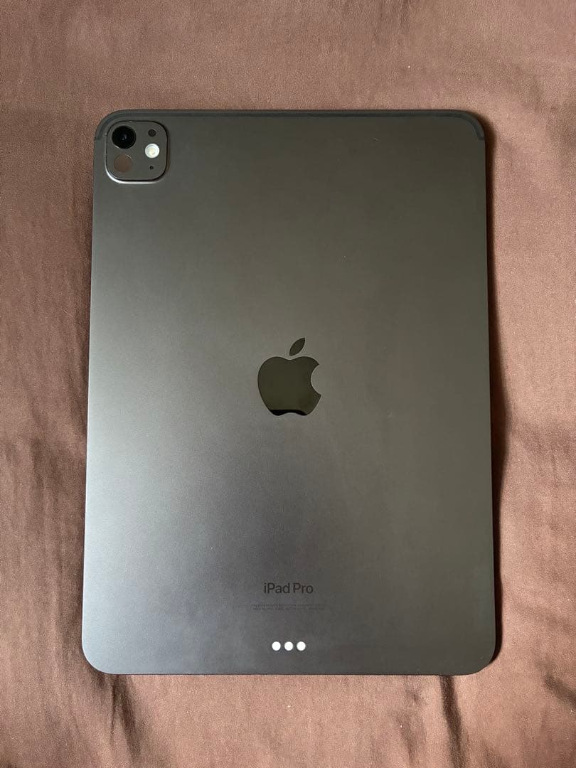 【早い者勝ち】iPad Pro 11in M4 バッテリー100% 256GB