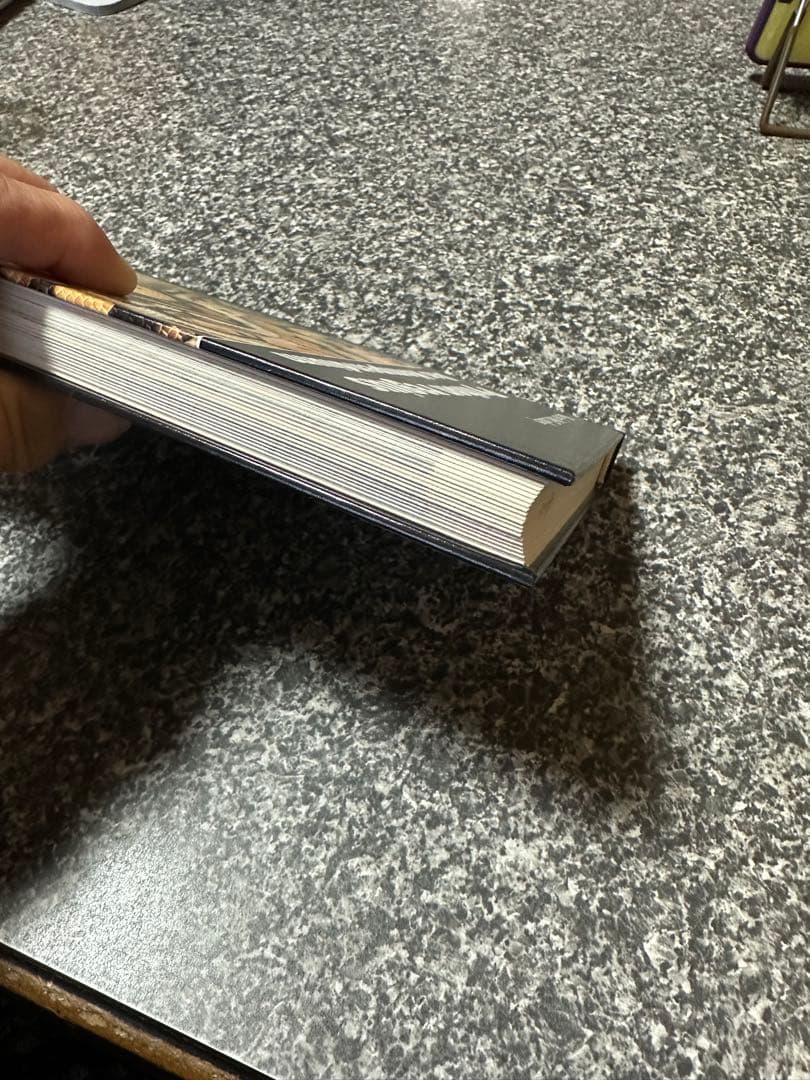 pychon regius ボールパイソン図鑑