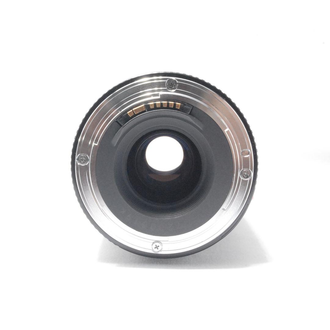 キャノン Canon EF 75-300mm 望遠レンズ 遠くの春も、すぐそばに