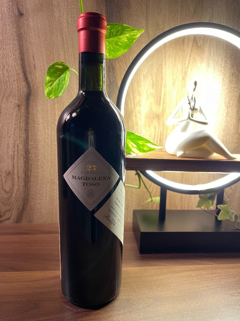 マグダレナ トソ アルゼンチン 2016