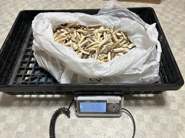 北海道産シカ角おやつ 29kg