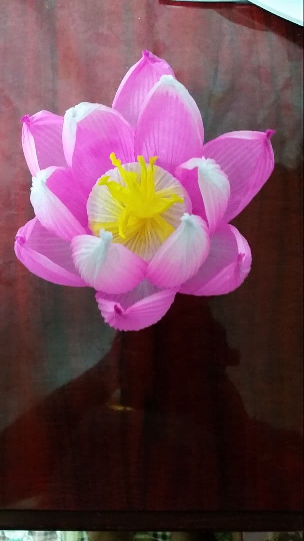 蓮の花の紙89 8色　24個　蓮の紙　韓紙　ハスの花　韓国