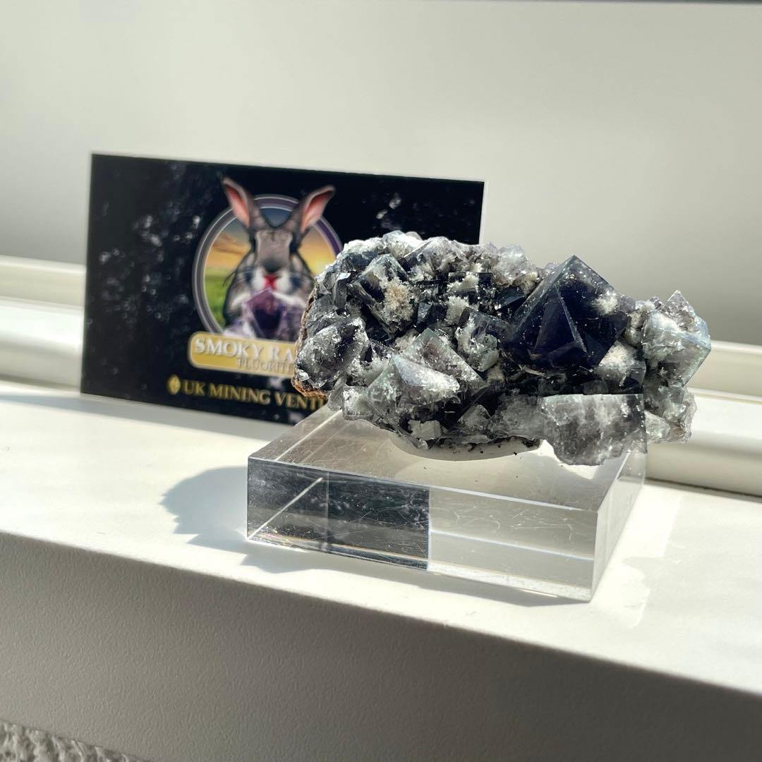 Diana Maria Smoky Rabbit Pocket フローライト