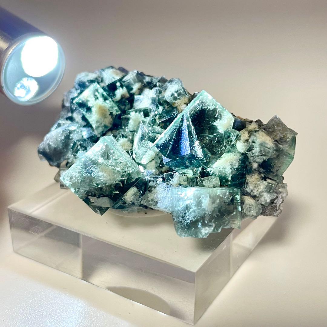 Diana Maria Smoky Rabbit Pocket フローライト