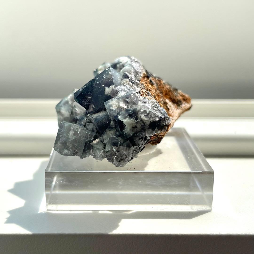 Diana Maria Smoky Rabbit Pocket フローライト