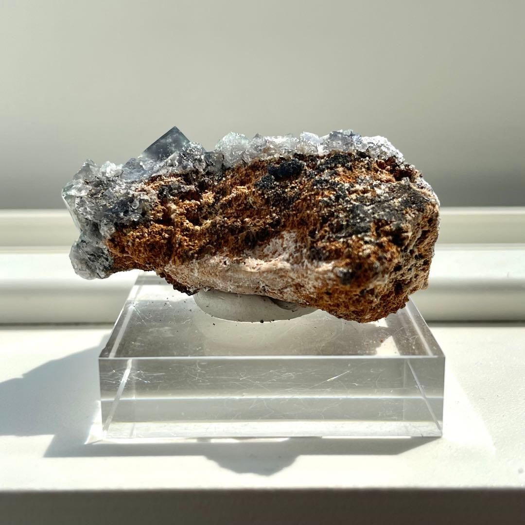 Diana Maria Smoky Rabbit Pocket フローライト