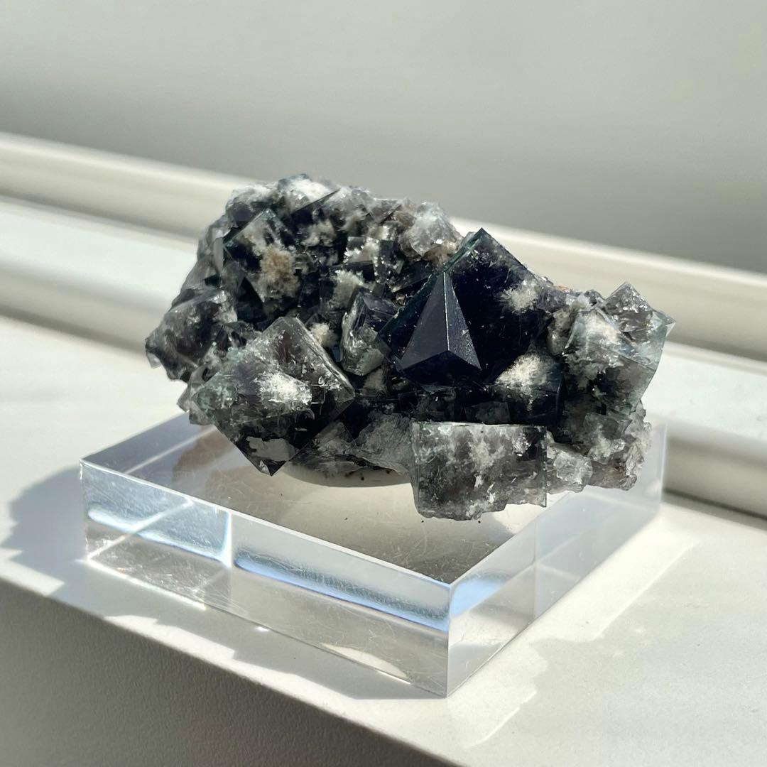 Diana Maria Smoky Rabbit Pocket フローライト