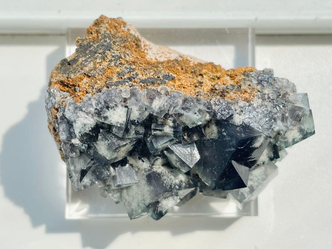 Diana Maria Smoky Rabbit Pocket フローライト