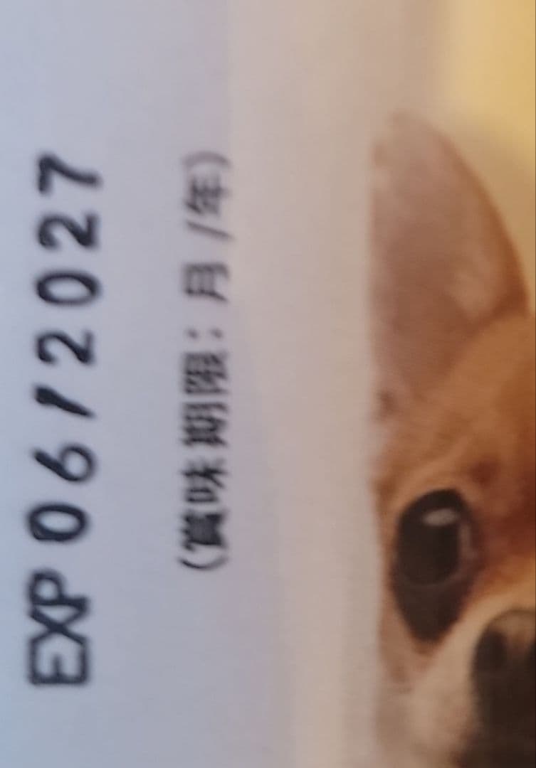 アミンアバスト 300mg 猫・小型犬用 60カプセル×3本