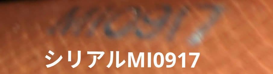 ルイ・ヴィトン パスポートケース（ M60179）