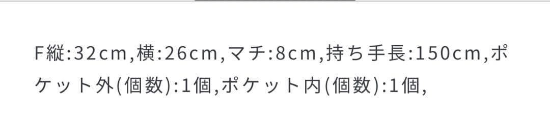 美品　ITTI styling ITTI別注 ドロートリングバッグ　ショルダー