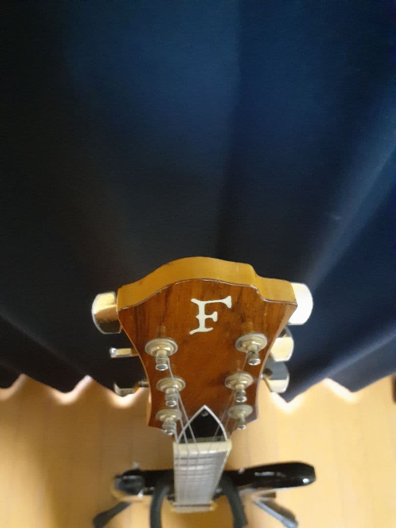 FERNANDES hide MG Burny モッキンバード　ギター