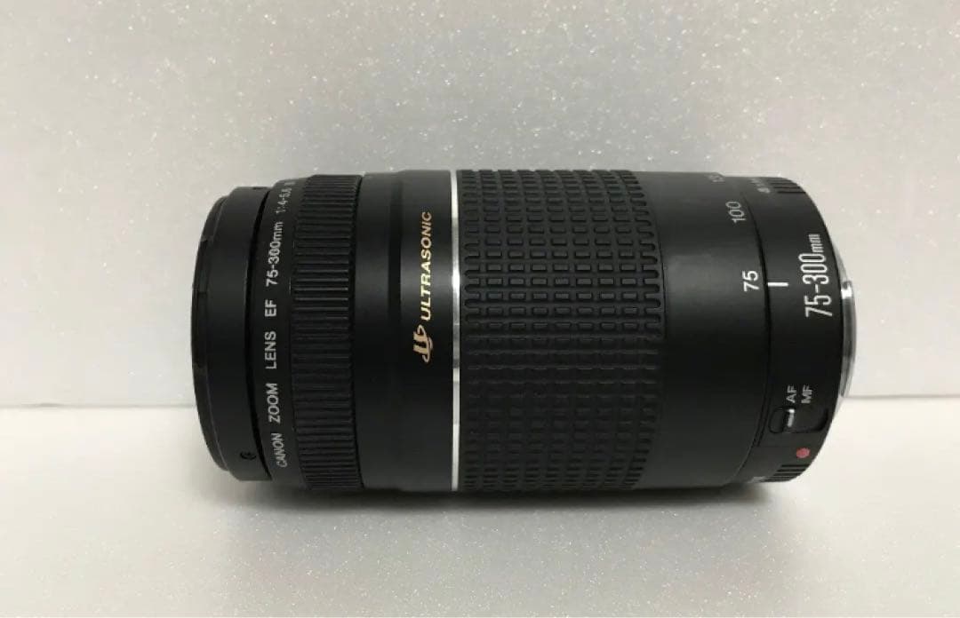 超望遠レンズ/一眼レフカメラ/キャノン Canon EF75-300㎜