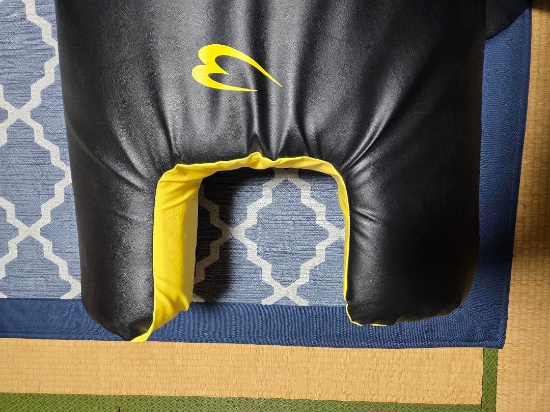 BODYMAKER ボディーメーカー スーパーダミーミットシールド